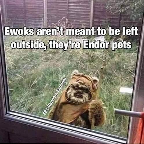 FB_IMG_1700177529221