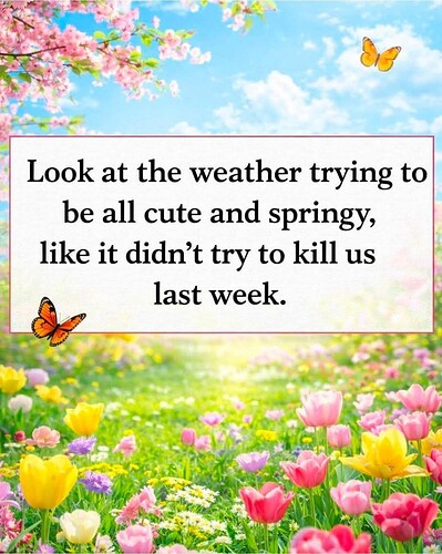 FB_IMG_1772396079819