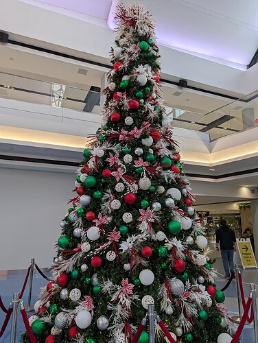 PXL_20251202_181105313.RAW-01