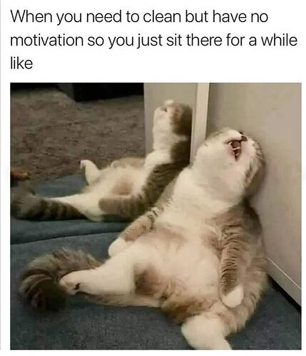 FB_IMG_1765465092828