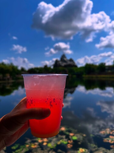 A6D55FC2-8EEF-4AB1-A152-BCDA6D46296A