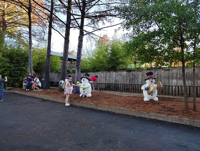 IMG_20251220_161557582