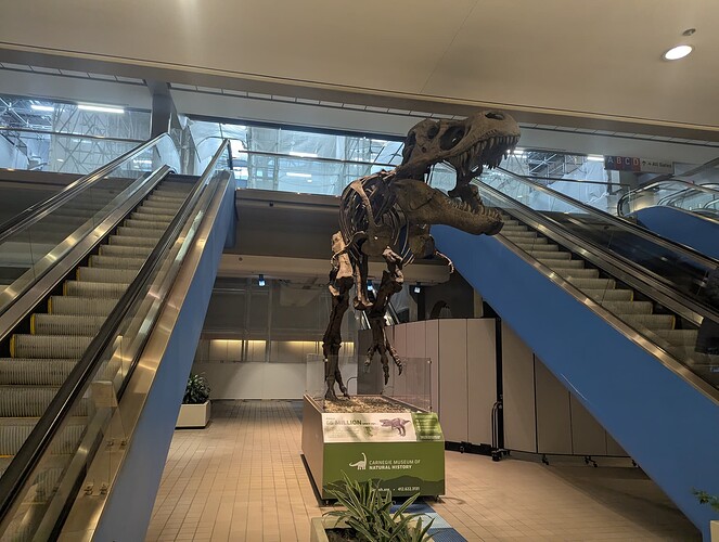 PXL_20241129_190041702.RAW-01.COVER