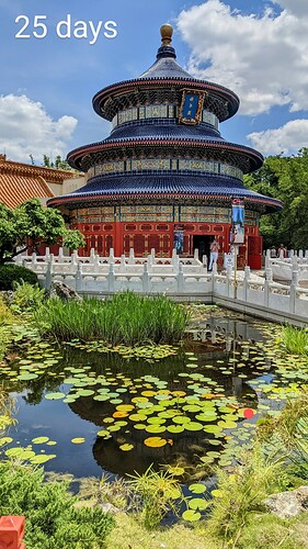 PXL_20210426_173129270~2