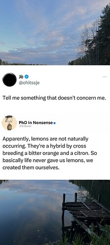 FB_IMG_1764526865978