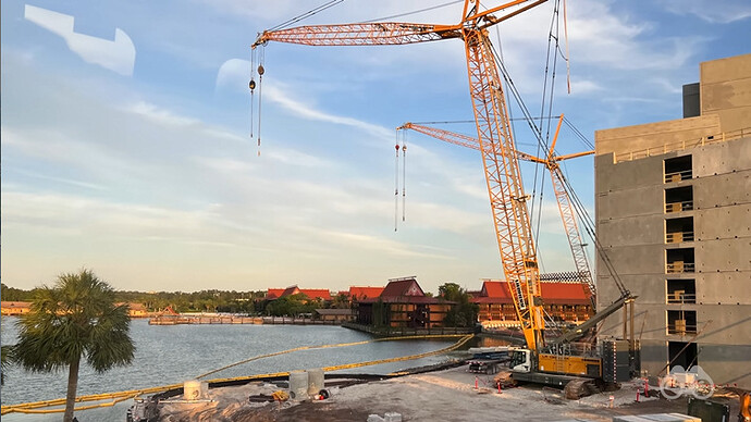 polynesian-dvc2