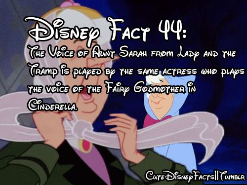 88ddd9270df0981bbb5c1829f253f573