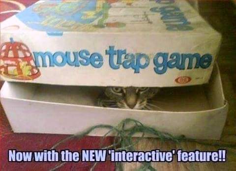 FB_IMG_1650637255601