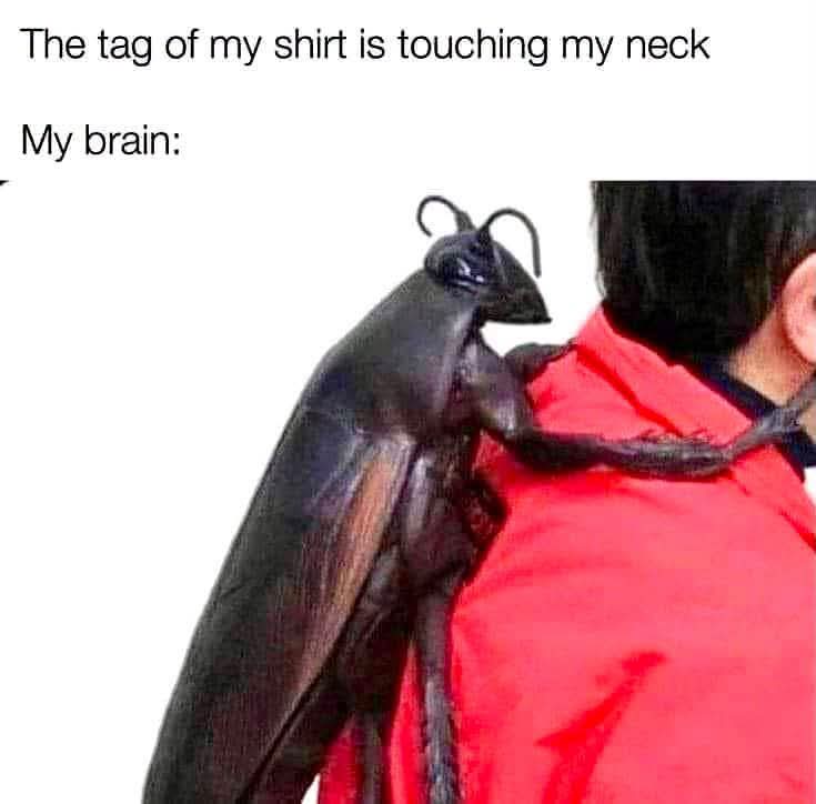 FB_IMG_1788703987213